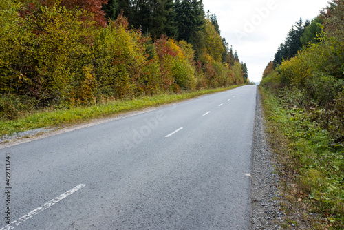 Asphalt road through the deep forest. Nature background. 