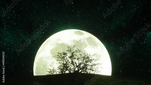 a mysterious tree in the moonlight (3d rendering,this image elements furnished by NASA) photo