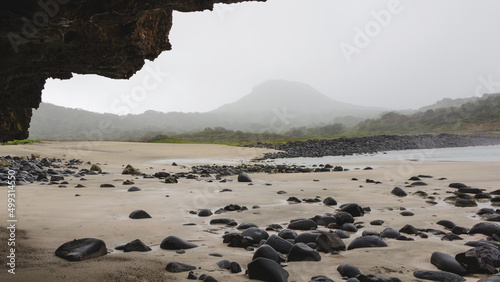 flock of sheep on the beach