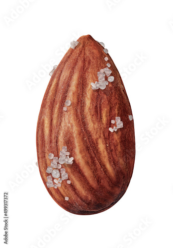 Salted Almond nut isolated on white background