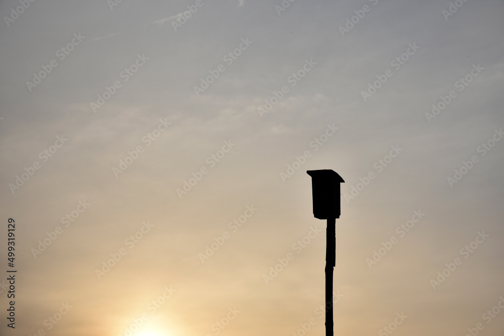 Birdhouse in the setting sun and haze