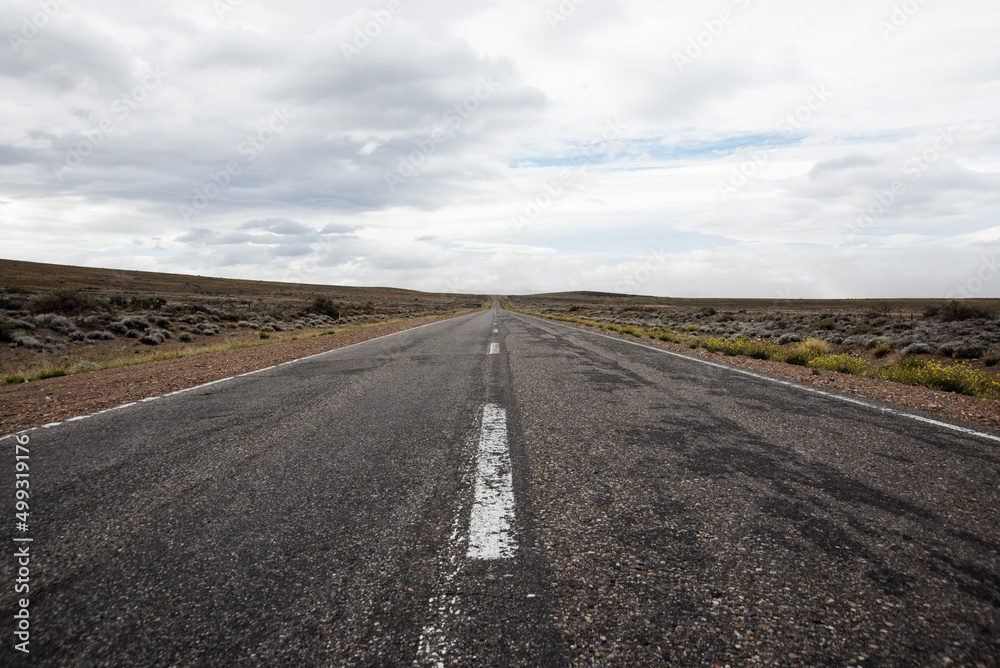 Fototapeta premium Route 237 in Neuquen province, Argentine Patagonia