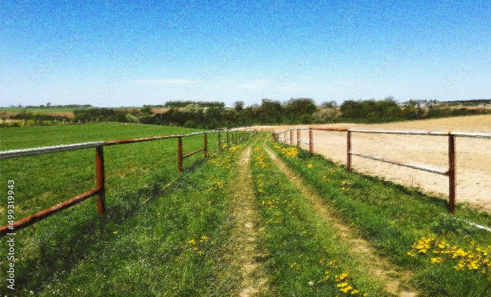 dirt road - image for printing