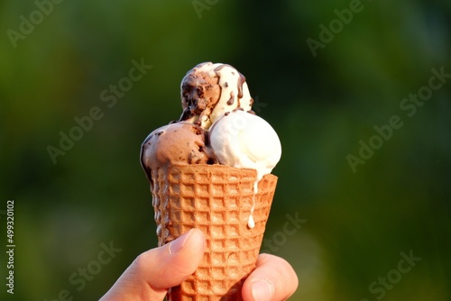 A melting coconut milk chocolate ice cream in a crispy cone ,holding with a man hands and blurred green nature background