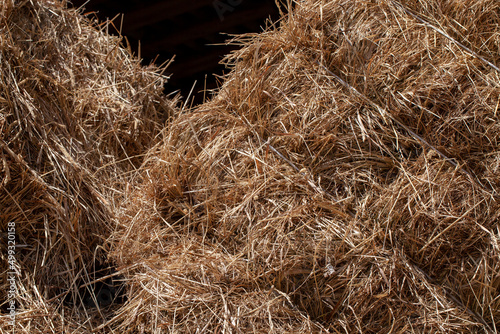 hayloft warehouse with straw stacks after wheat harvest