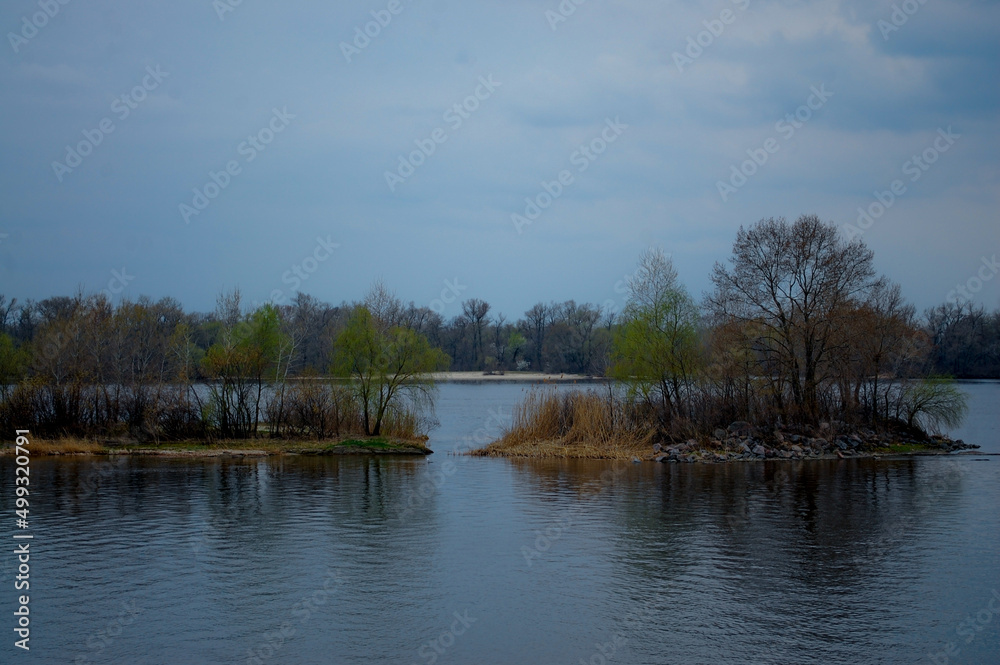 island with young trees in the middle of the river, in spring. Dnieper River. river, Europe 