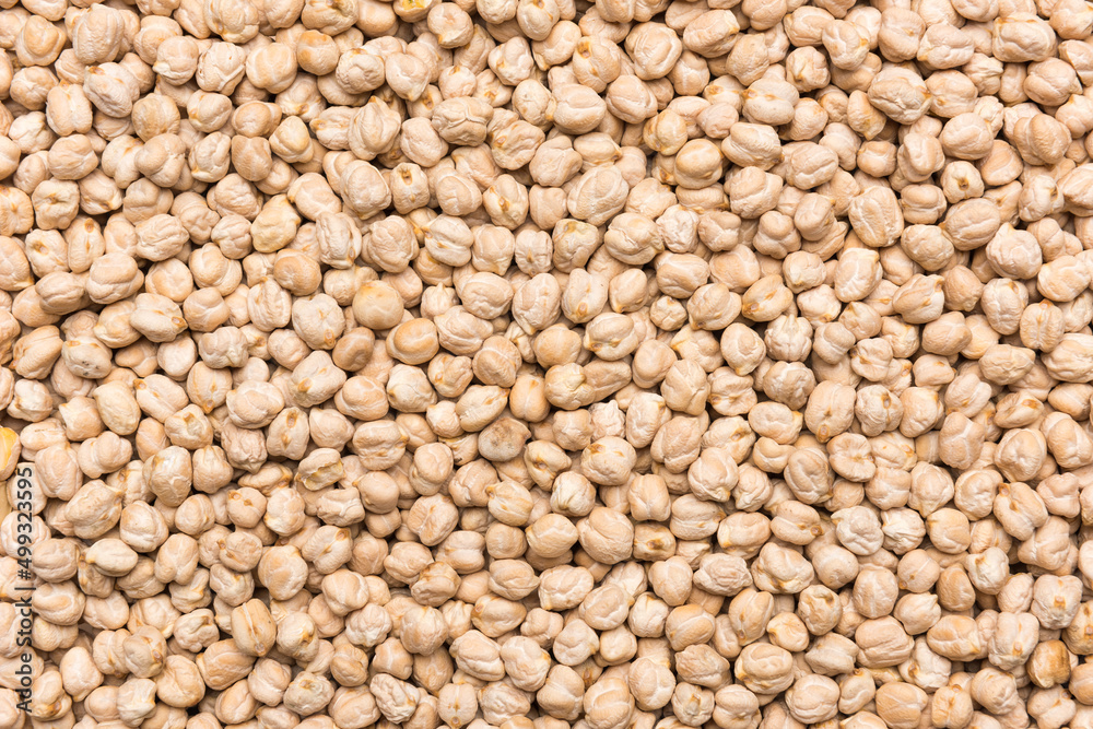 Uncooked chickpea beans background texture Uncooked chickpea beans background texture