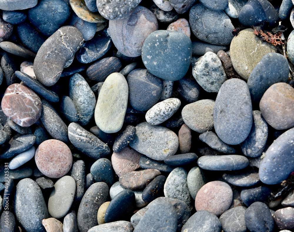 Beach combing finds, close-up photography in nature with simple isolated subjects in natural rocky beach setting. Beach combing finds, close-up photography in nature with simple isolated subjects in natural rocky beach setting.