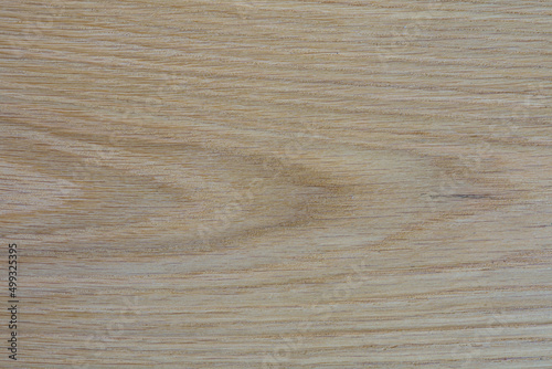 texture of oak wood, background, oak desktop texture background 