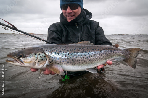 Silver sea trout - swedish sea coast trophy