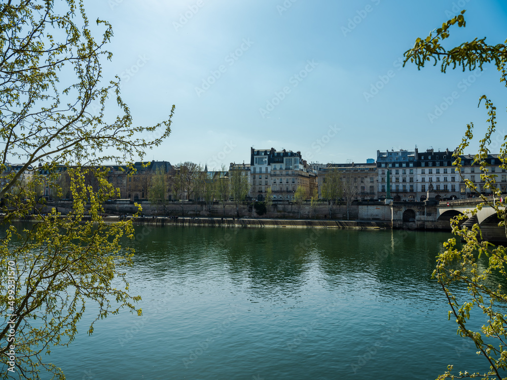 Seine river and Paris historic city on the river bank