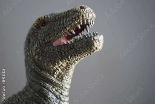 Wondering Rex