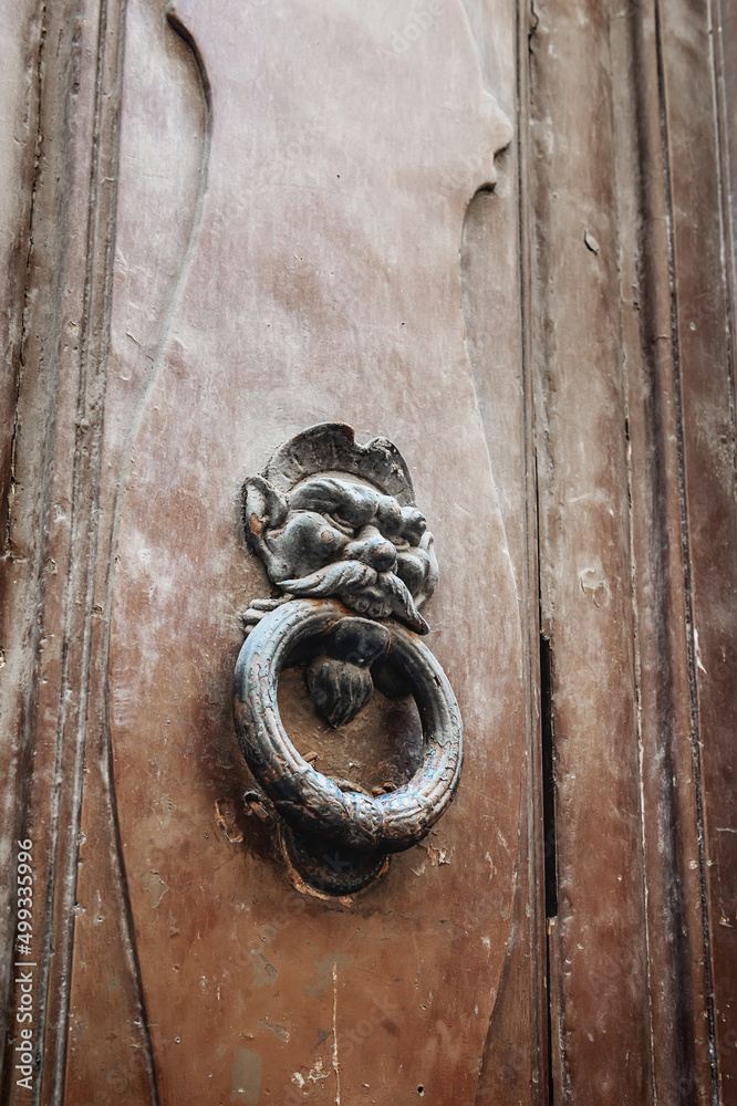 door with a brass knocker in the shape of a man's head, a beautiful entrance to the house. Wooden door, detail. Decorative element. a door handle in the shape of a face that holds a ring in its teeth door with a brass knocker in the shape of a man's head, a beautiful entrance to the house. Wooden door, detail. Decorative element. a door handle in the shape of a face that holds a ring in its teeth