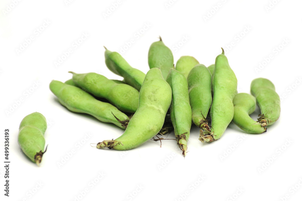 Fresh broad bean with pod isolated on white background Fresh broad bean with pod isolated on white background