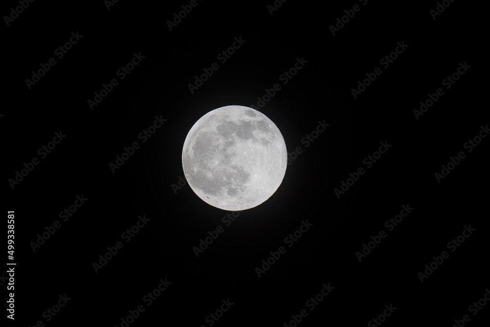 Naklejka premium Pink full moon 2022