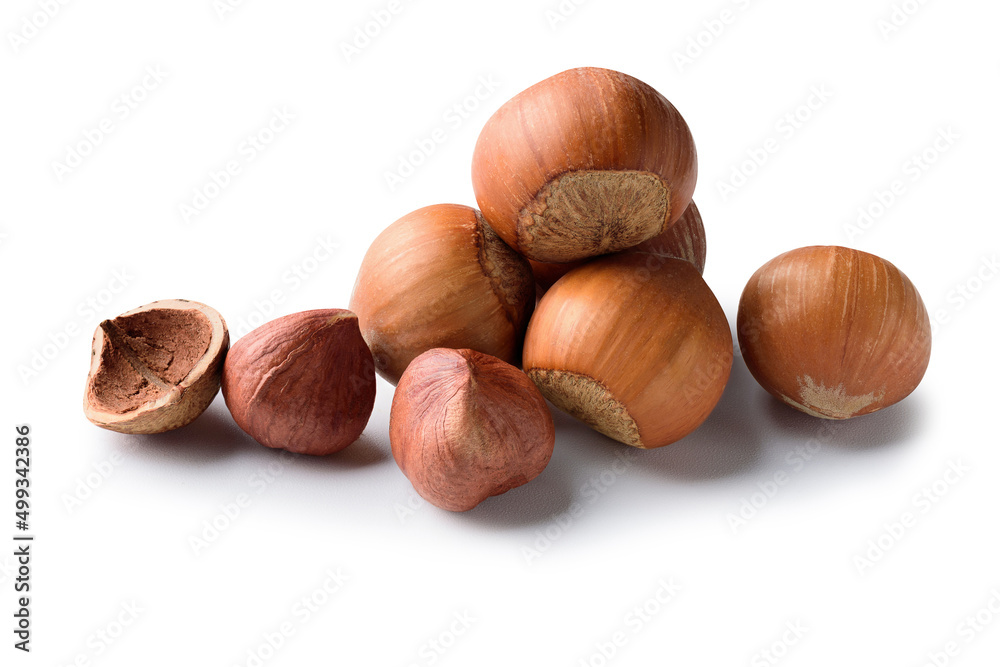 hazelnut nut,hazel white isolated,hazelnut nut pieces,with clipping path hazelnut nut,hazel white isolated,hazelnut nut pieces,with clipping path