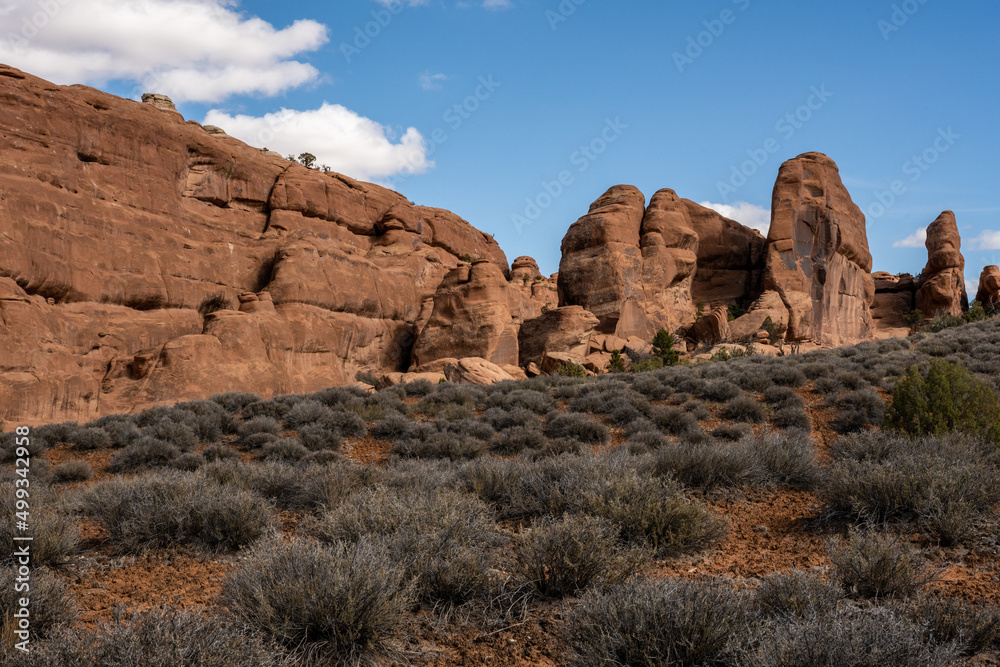 Brush Covers The Desert Floor With Sandstone Cliffs In The Background