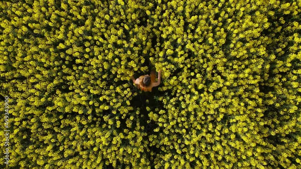 Aerial view with runing woman at blooming rapeseed field. Yellow flowers and woman