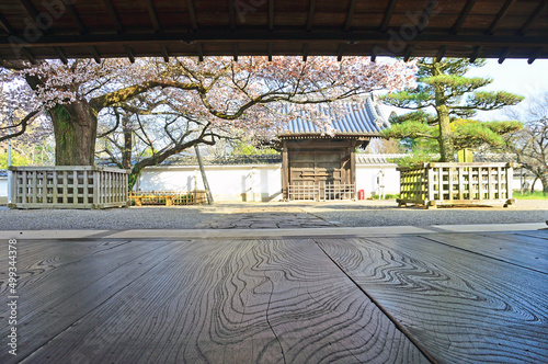 Garden of Kodokan, Mito Clan's school in Mito City, Japan photo