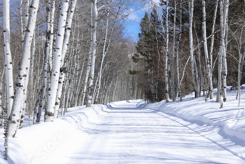 Ditch Creek Road Winter Driving Jackson Hole Wyoming Snowy Travel
