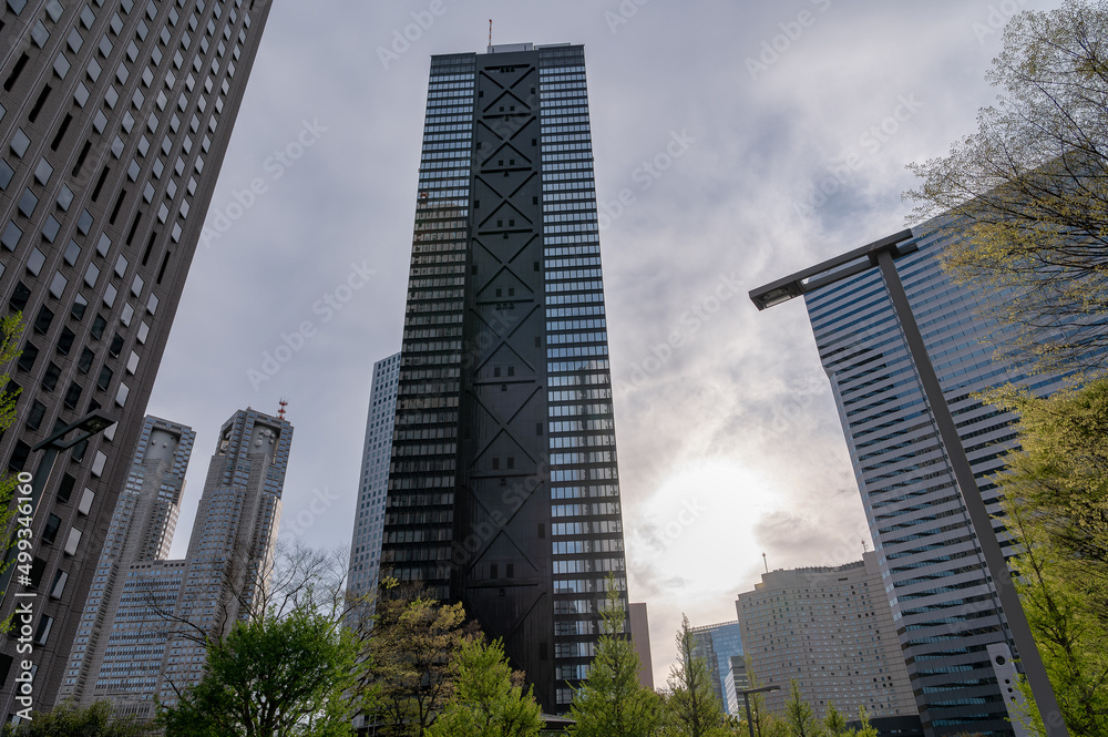 Fototapeta premium 東京都新宿区西新宿の都市景観