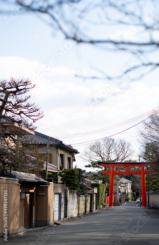 townscape in kyoto, japan © 大野恒昭