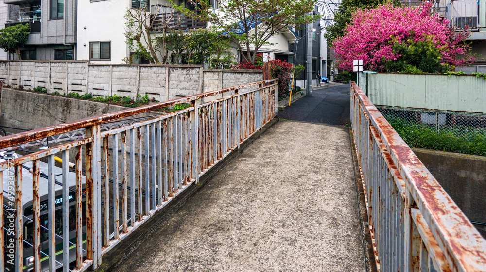 橋と電車と桃の花 橋と電車と桃の花