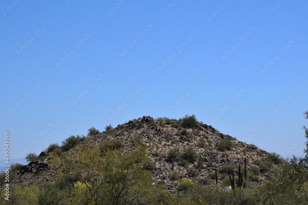 Desert mountain landscape with cactus and blue sky Desert mountain landscape with cactus and blue sky