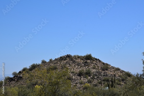 Desert mountain landscape with cactus and blue sky