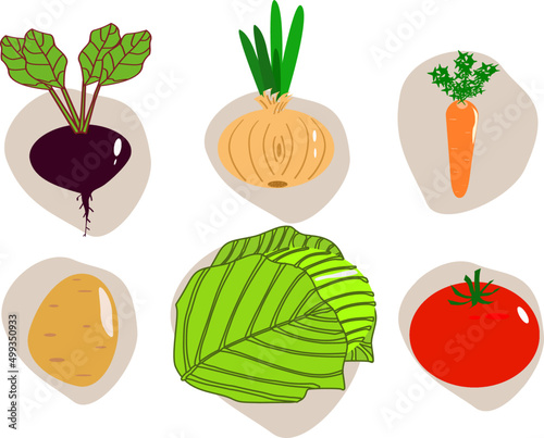 Vegetables in assortment for cooking borscht, vector. Drawn vegetables for vegan menu.