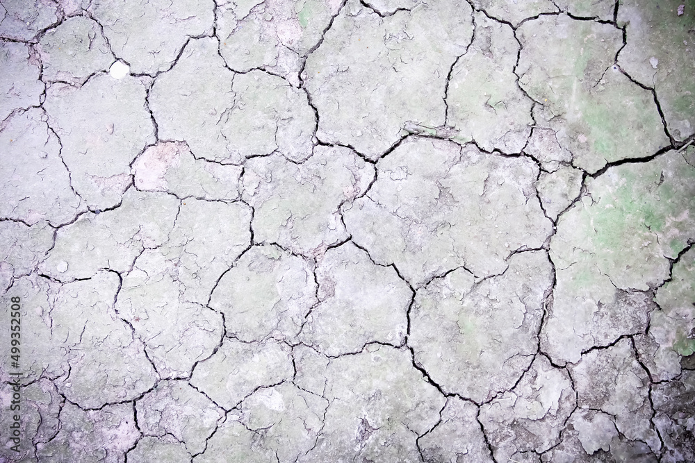 Cracked soil texture with stain green moss in the river , drought season seamless patterns top view background Cracked soil texture with stain green moss in the river , drought season seamless patterns top view background