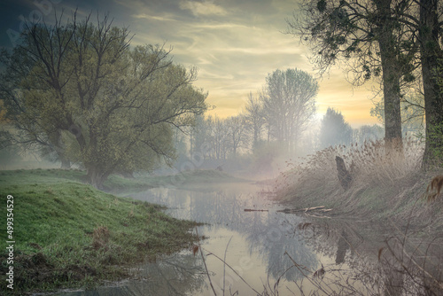 Foggy landscape of the wilderness before sunrise alongside the danube between the rural towns Osterhofen and Winzer in lower bavaria, germany, in early spring photo