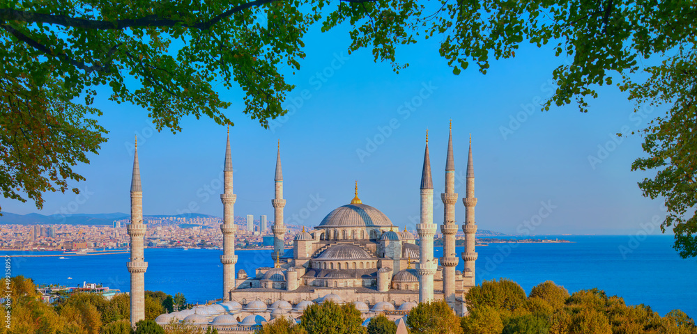 Naklejka premium The Sultanahmet Mosque (Blue Mosque) - Istanbul, Turkey