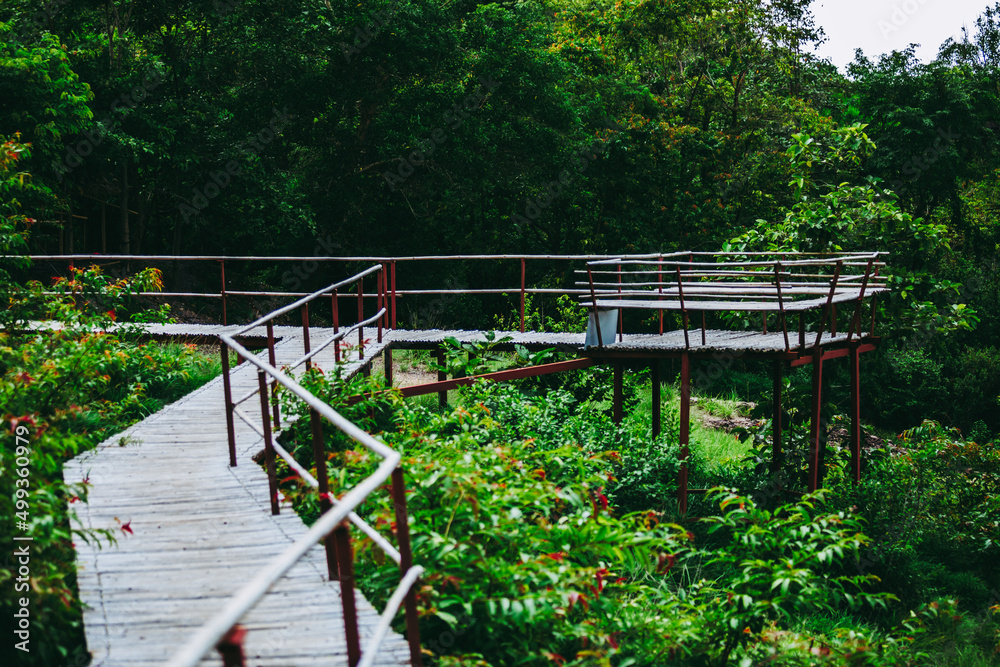 Wooden bamboo bridge with balcony in the forest mountain hill in dark green forest color tone. Wooden bamboo bridge with balcony in the forest mountain hill in dark green forest color tone.