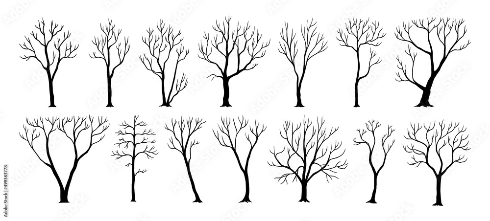 Naked trees. Black silhouettes of plants with trunks and bare branches. Wood shadow. Cold season nature. Winter and autumn environment. Dead twigs. Vector dry woodland elements set
