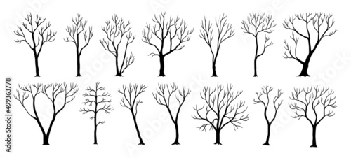 Naked trees. Black silhouettes of plants with trunks and bare branches. Wood shadow. Cold season nature. Winter and autumn environment. Dead twigs. Vector dry woodland elements set