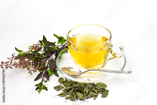Tulsi or holy basil tea in transparent cup with fresh and dry tulsi leaf isolated on white background. Ayurvedic medicine in India. Drink for health.