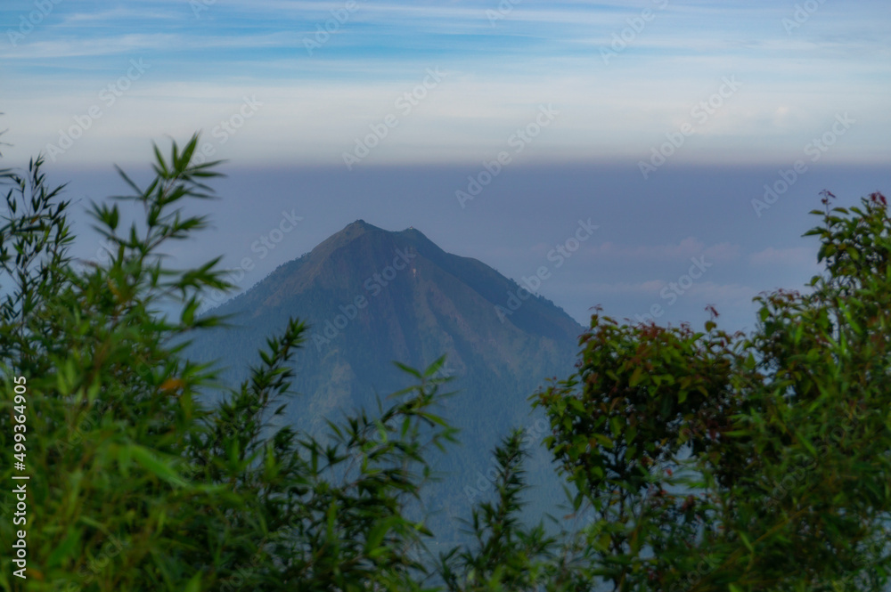Top of the mountain with leaves of the trees on the foreground. The mountain named Mount Andong with cloudy condition weather
