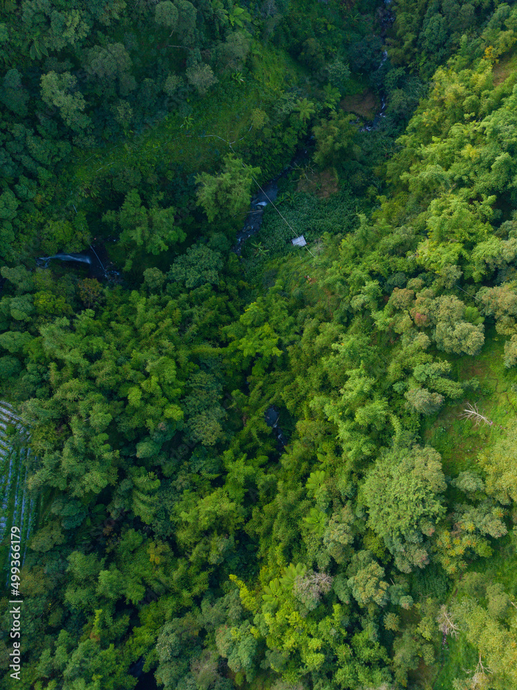 Valley overgrown with green trees with riverbed with flowing water Valley overgrown with green trees with riverbed with flowing water