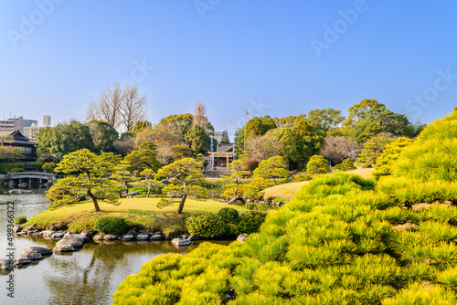 日本庭園「桜咲く観光名所風景」水前寺成趣園
Japanese garden 