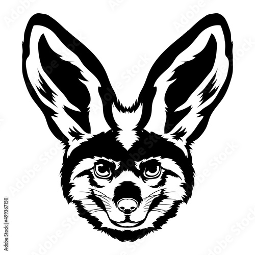 bat-eared fox face vector iilustration in hand drawn style, perfect for tshirt and mascot design