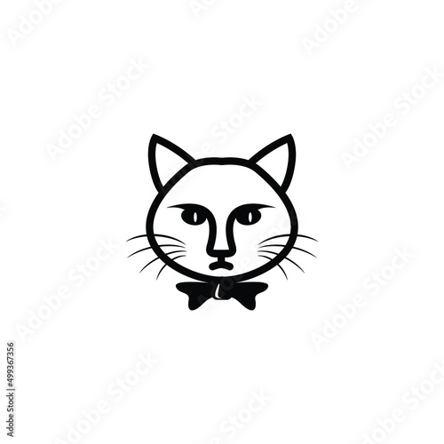 cat with a eyes