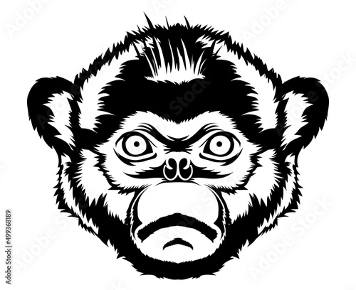 Snub Nosed monkey face vector iilustration in hand drawn style, perfect for tshirt and mascot design
