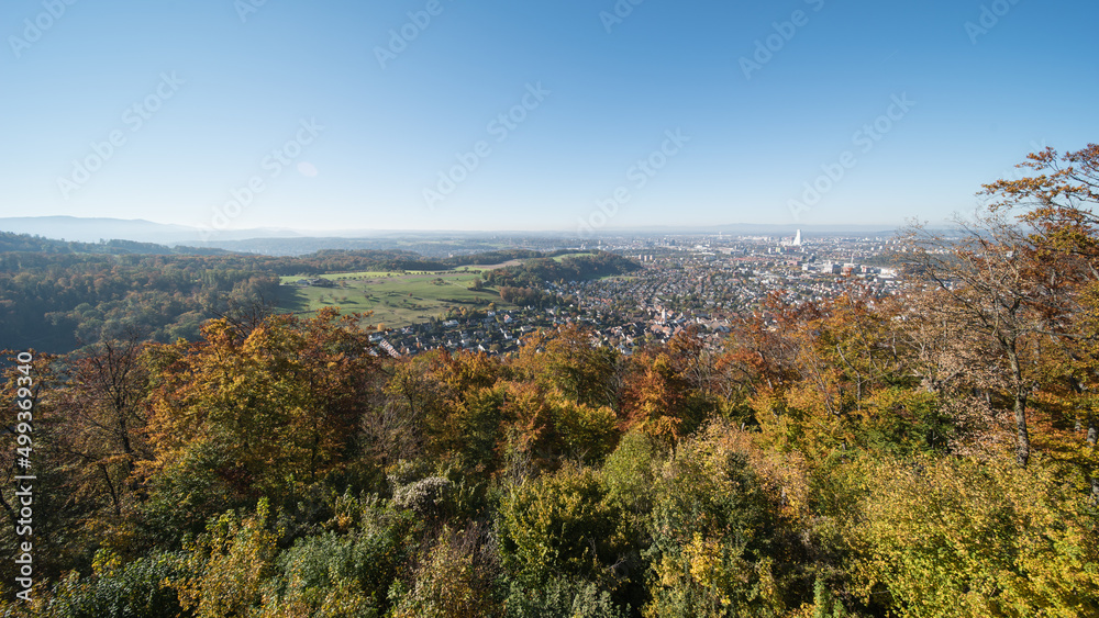 view to the city of basel in switzerland on a beautiful day in autum.