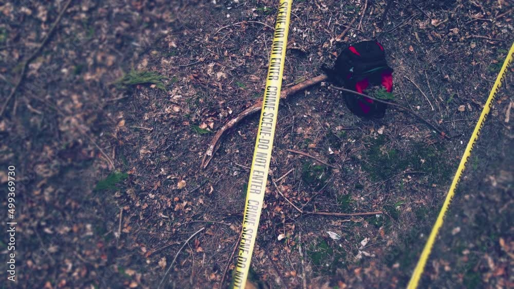 Crime scene in the woods filmed by a drone. Missing person's bag. Dead body found in the woods and evidences