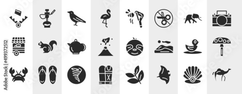 desert filled icons set. editable glyph icons such as trap, flamingo, elephants, chipmunk, sloth, amanita, tornado, manta ray vector. © VectorStockDesign