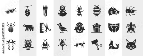 nature filled icons set. editable glyph icons such ascentipede, cocoon, hair clipper, chick vector collection.