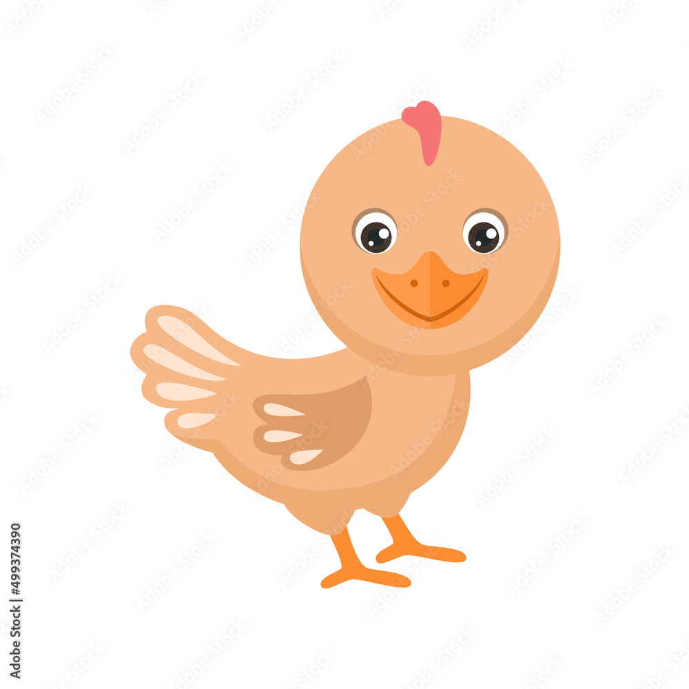 Cartoon funny chicken bird isolated on white. Vector simple flat illustration. Farm poultry. Cartoon funny chicken bird isolated on white. Vector simple flat illustration. Farm poultry.