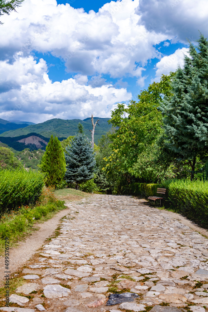 Pavement pathway through the trees into the mountains in a bright white cloudy summer day
