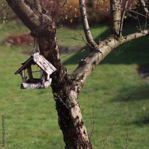 Mały karmnik dla ptaków wiszący na drzewie w ogrodzie